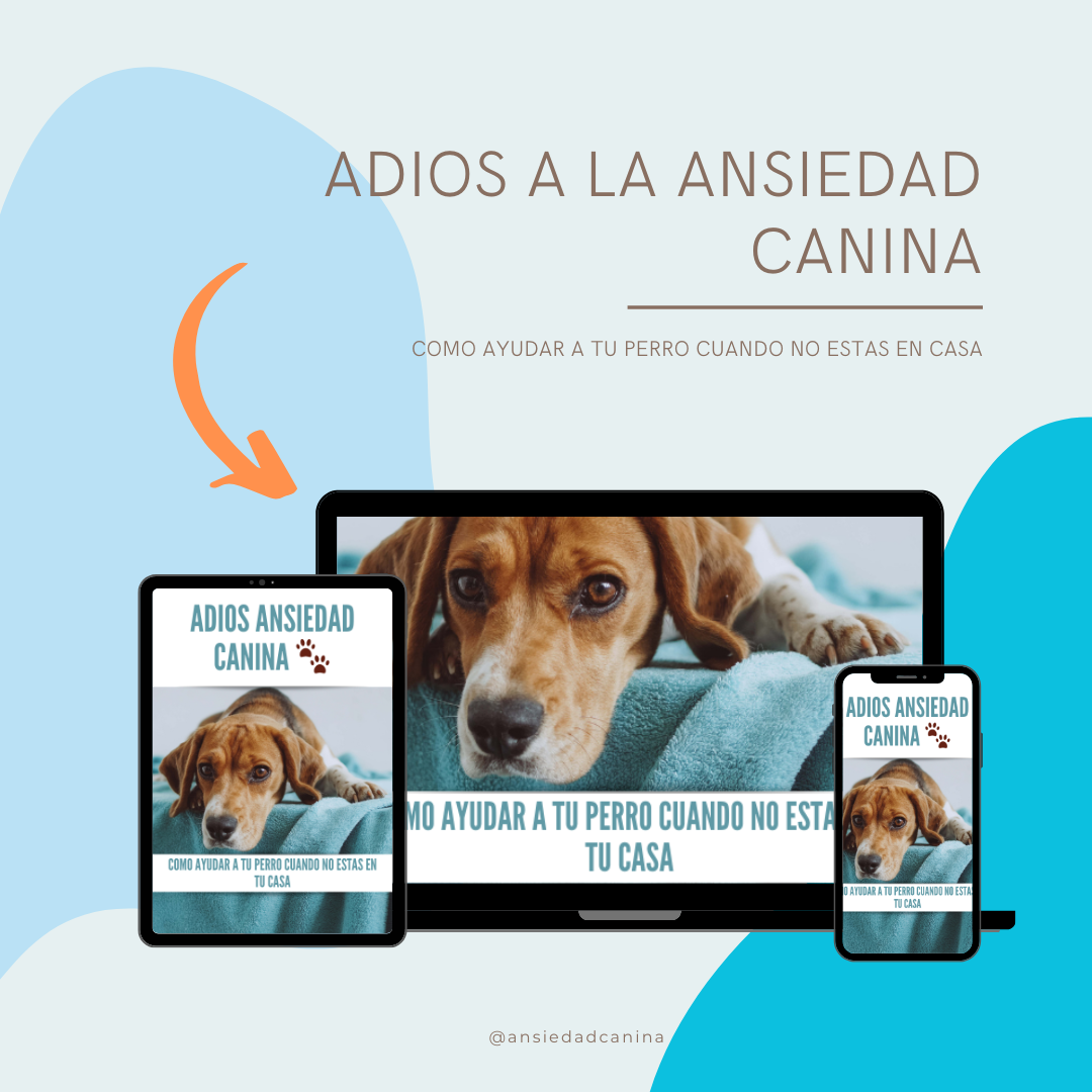 Tu perro no es desobediente. Aprende a reconocer y calmar su ansiedad con pasos simples y prácticos.